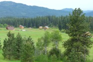 Duquette Pines meadow