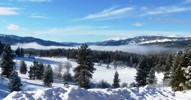 Duquette Pines meadow